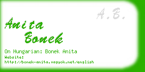 anita bonek business card